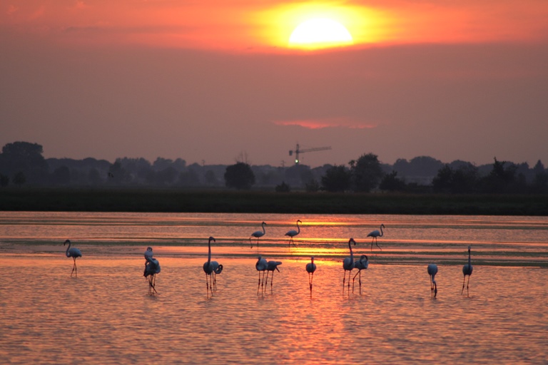 tramonto in salina visita guidata