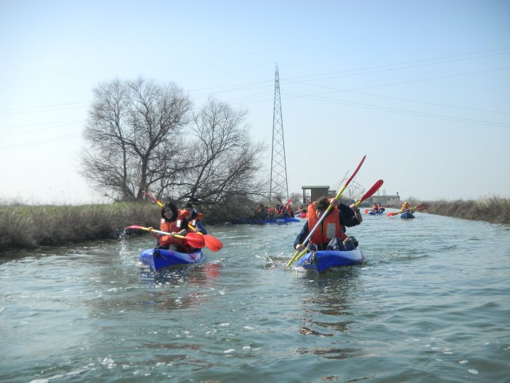 Escursione in canoa alla Salina di Cervia