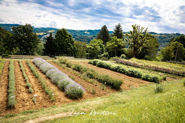 Giardino delle Erbe di Casola Valsenio