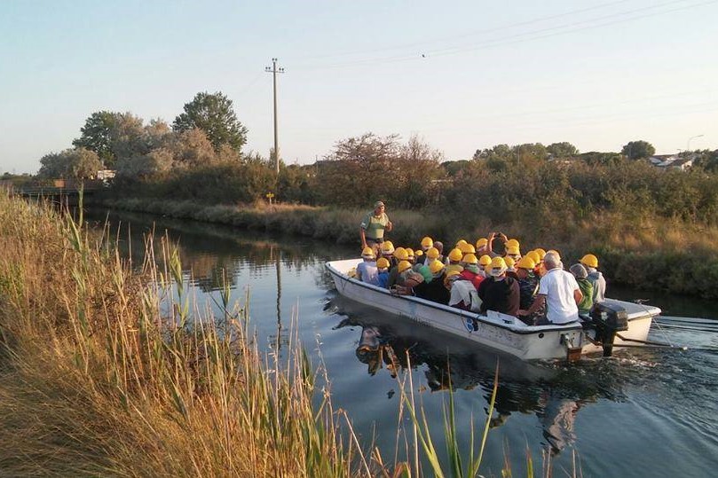 In barca alla ricerca dei fenicotteri alla Salina di Cervia