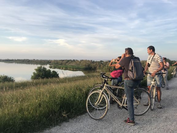 la pedalata dei fenicotteri