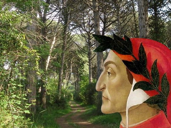 Querce di Dante