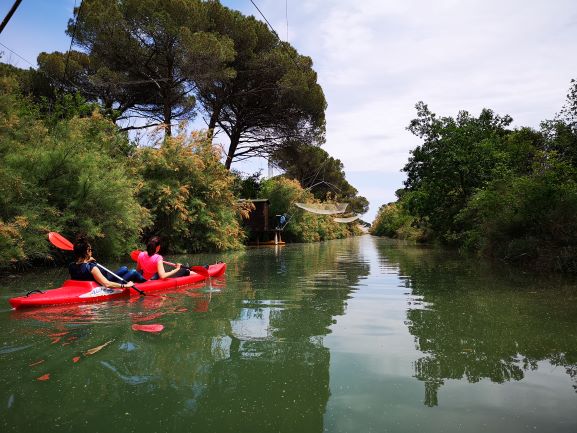 Escursione in canoa alla Salina di Cervia
