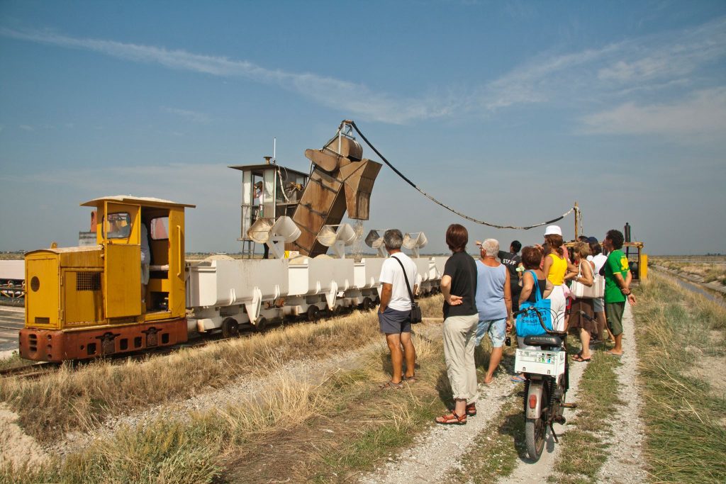 Raccolta del sale, Cervia
