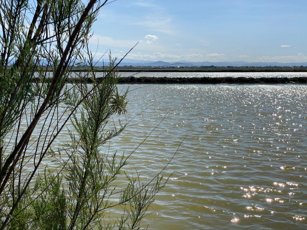 Nordic Walking alla Salina di Cervia