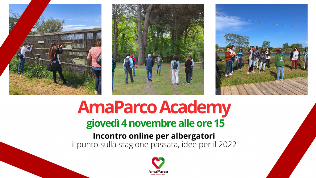 AmaParco Academy Novembre