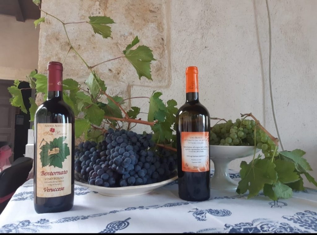 Museo di gusto - visita e degustazione a Verucchio