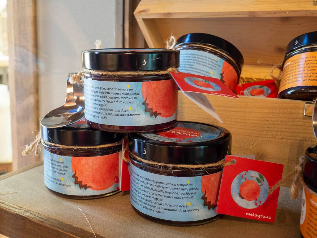 Museo di gusto - visita e degustazione a Verucchio