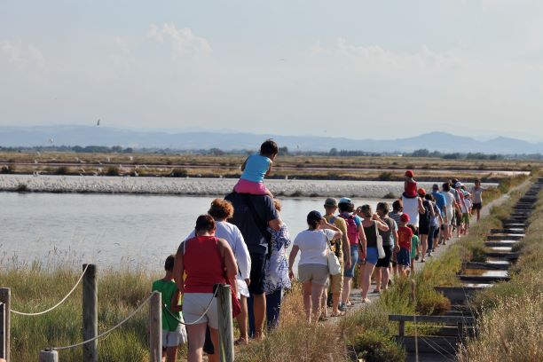 Passeggiata lungo la via dei nidi alla Salina di Cervia
