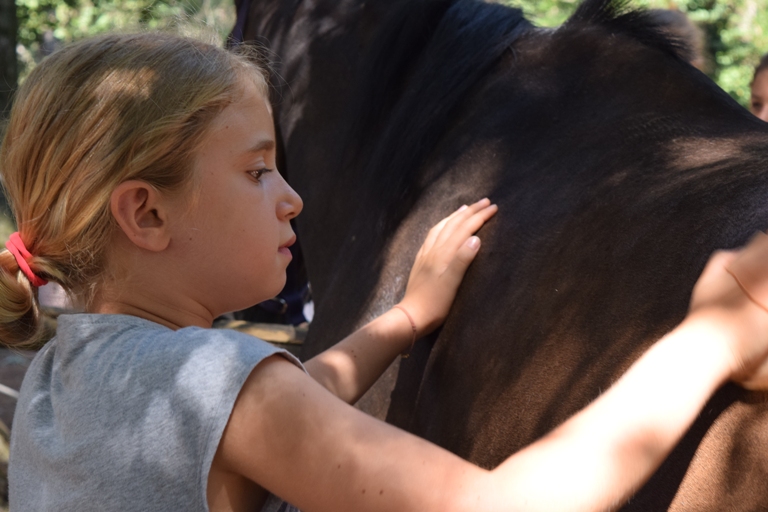 Giro a Cavallo al Parco Naturale di Cervia