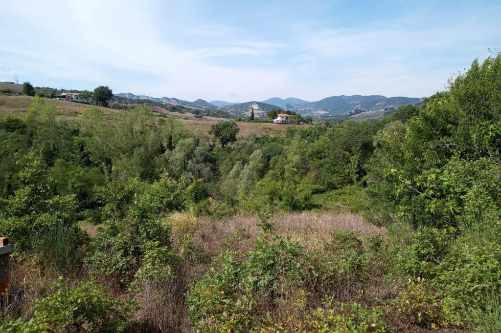 Cà Brigida verucchio