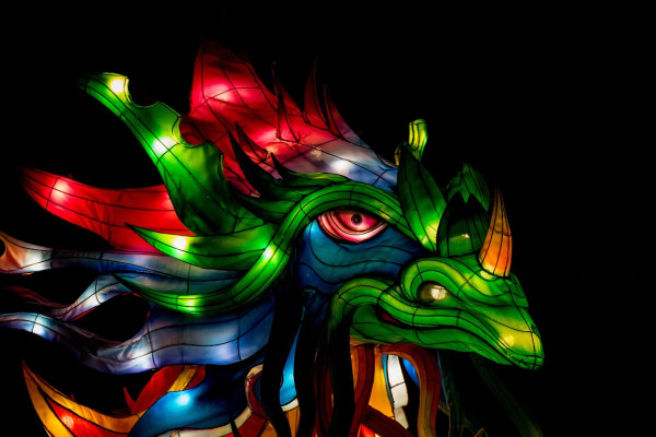 Drago San Ruffillo