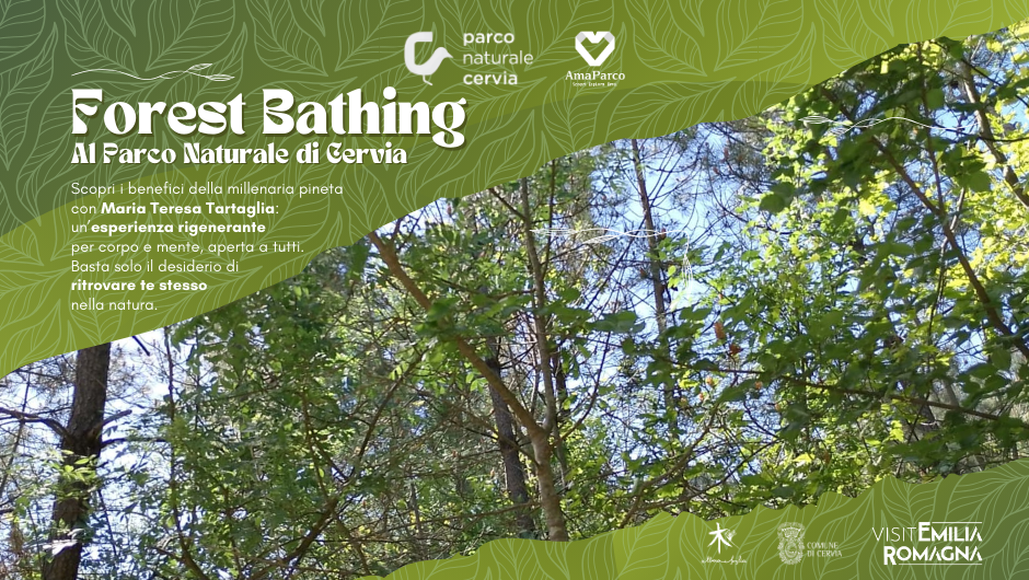 Forest Bathing Parco Naturale