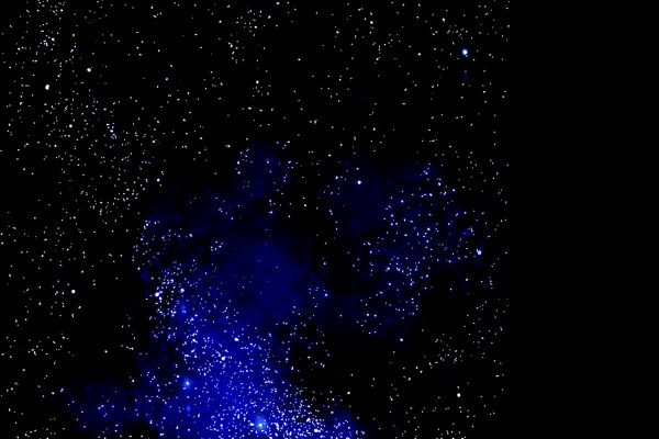 Notte stellata tra i pini