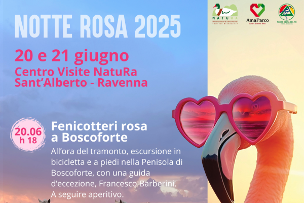 Notte rosa a NatuRa