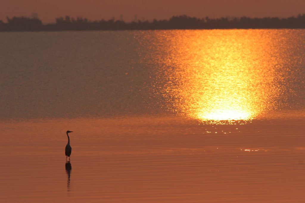 Escursione fotografica tramonto Argenta