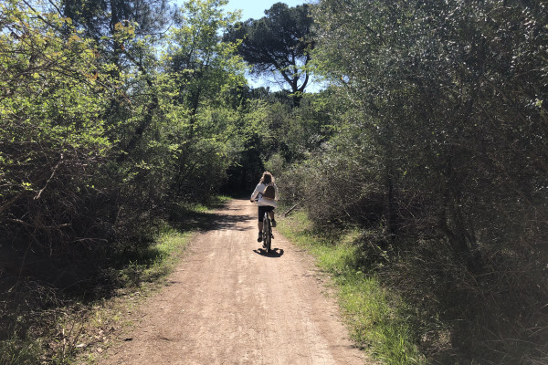 La Pineta di Classe tra storia e natura